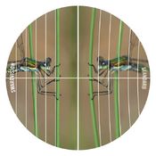 K12_SWAROVISION_Field_Flattener_Natur